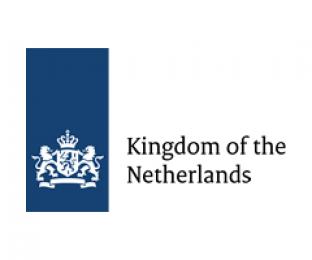 Программы поддержки Посольства Королевства Нидерландов