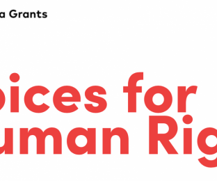 Программа поддержки Nordic Media Grants для Беларуси «Голоса за права человека»